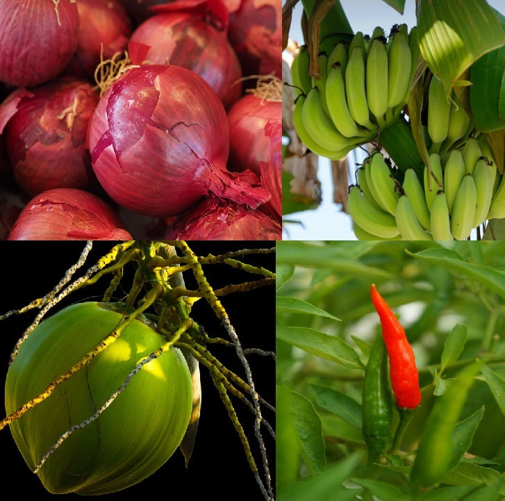 EIGG Fruits and Vegetables Whatsapp Community - Onion, coconut, banana