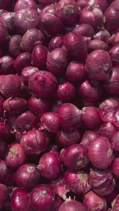 Premium Onion Community - farmers + traders + exporters