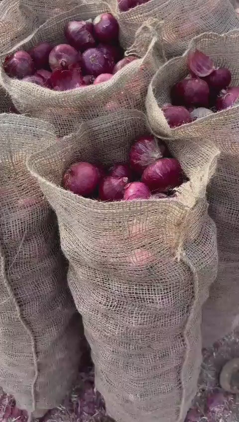 Premium Onion Community - farmers + traders + exporters