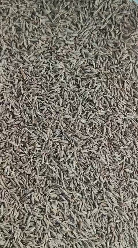 The EIGG Pulses Whatsapp community