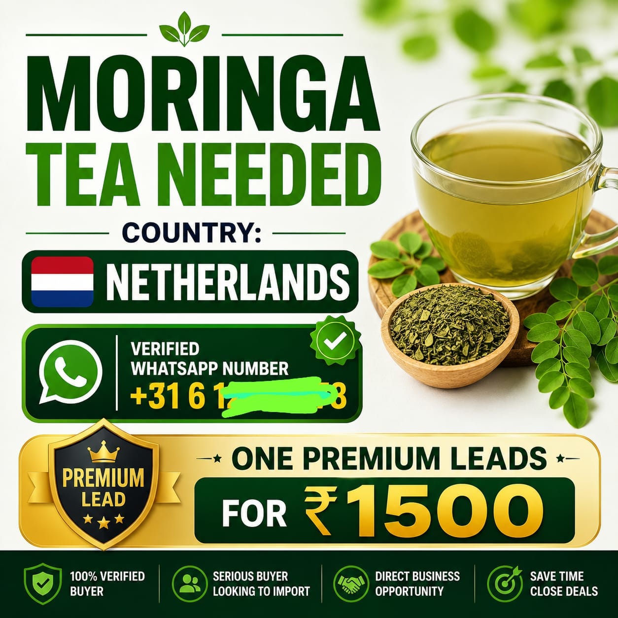 Moringa Tea Needed in Netherlands - Premium Lead