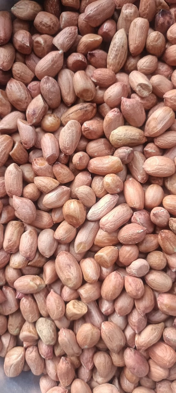 The EIGG Pulses Whatsapp community